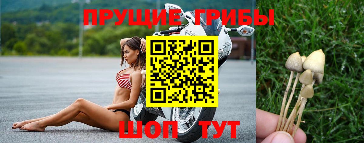 Галлюциногенные грибы ЛСД Донской