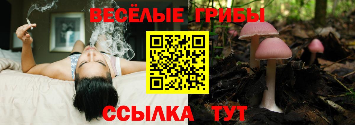 Галлюциногенные грибы Magic Shrooms  Вход с VPN  закладка  Донской 
